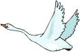 swan анимацияланган-сүрөттөр-gif